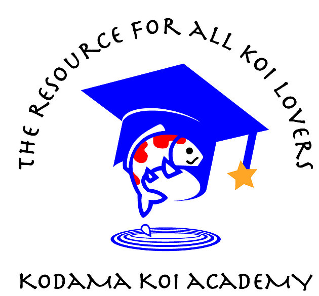 KodamaKoiAcademyLogo2