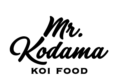 Mr_Kodama_Logo-3