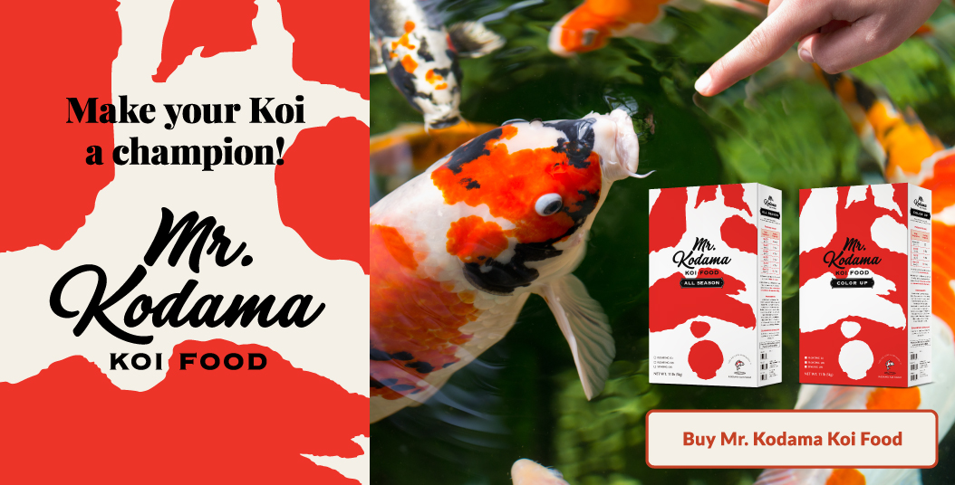 Supply_Home_Banner